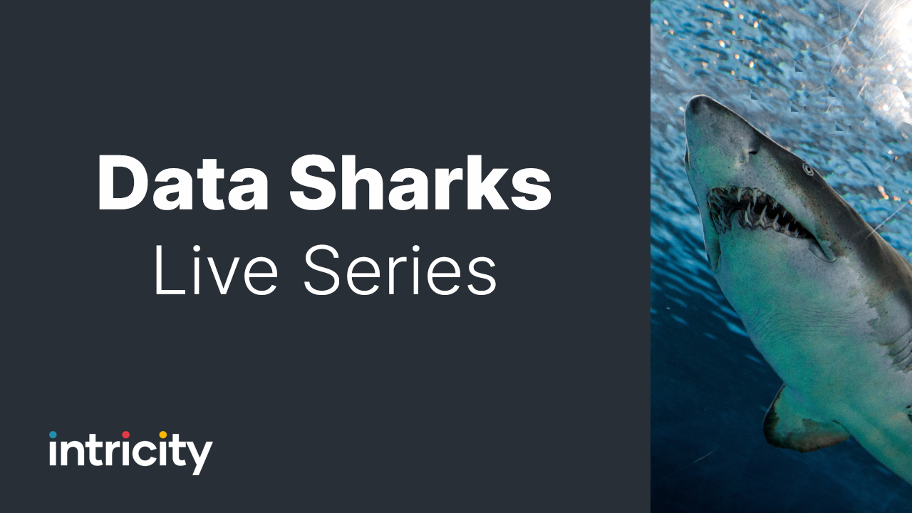 Data Sharks Videocast